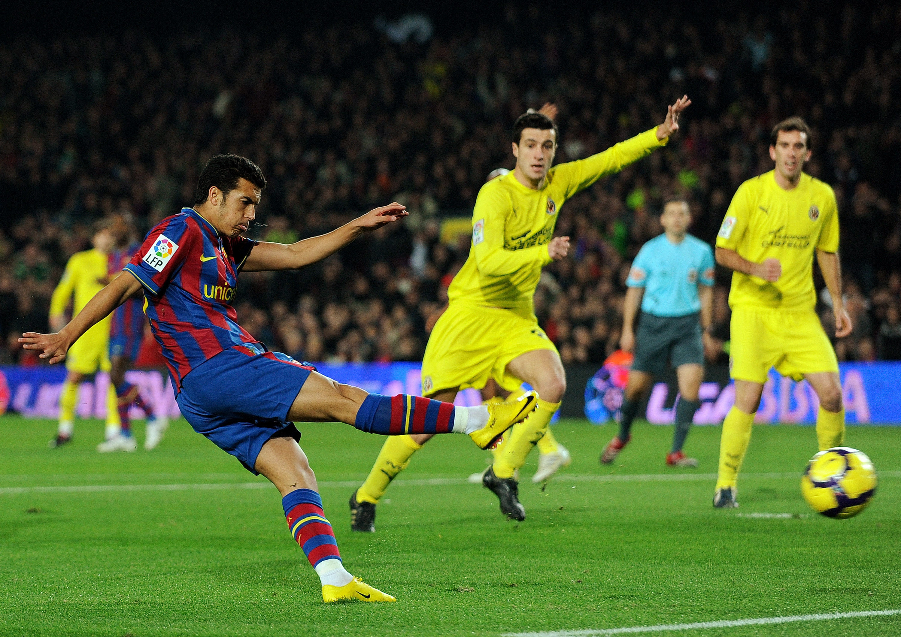 的多纳鲁马 的多纳鲁马