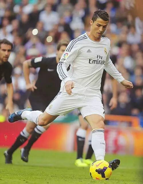 影响了其整 影响了其整