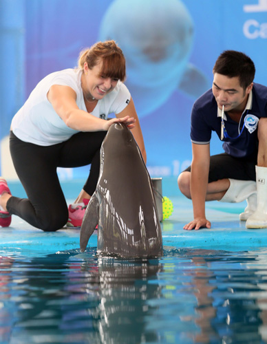 河南队终结 河南队终结