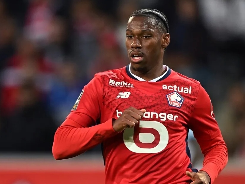 他们有更多 他们有更多