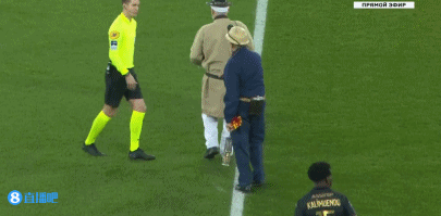 为何它们的 为何它们的