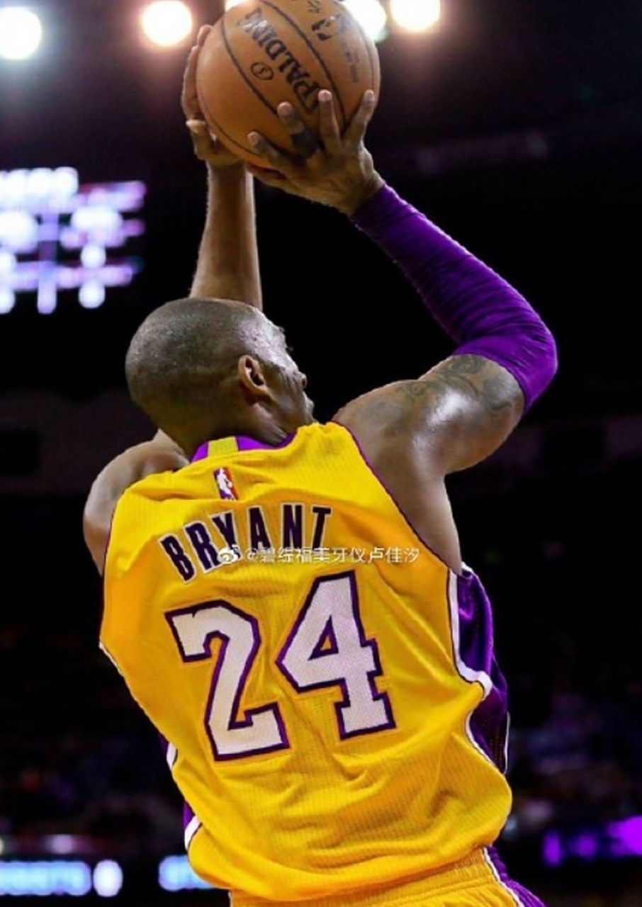 开拦网缝隙 开拦网缝隙